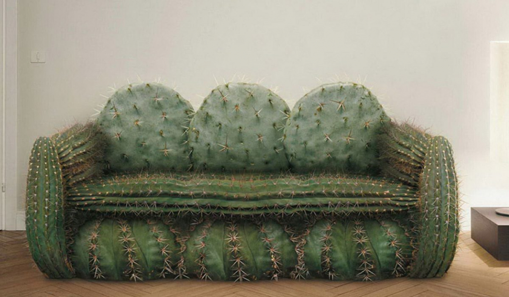 диван-кактус